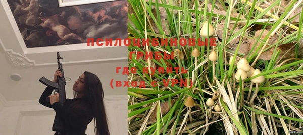 круглые Бронницы