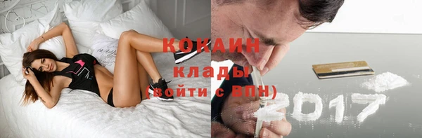 гашик Бородино