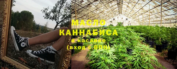 гашик Бородино